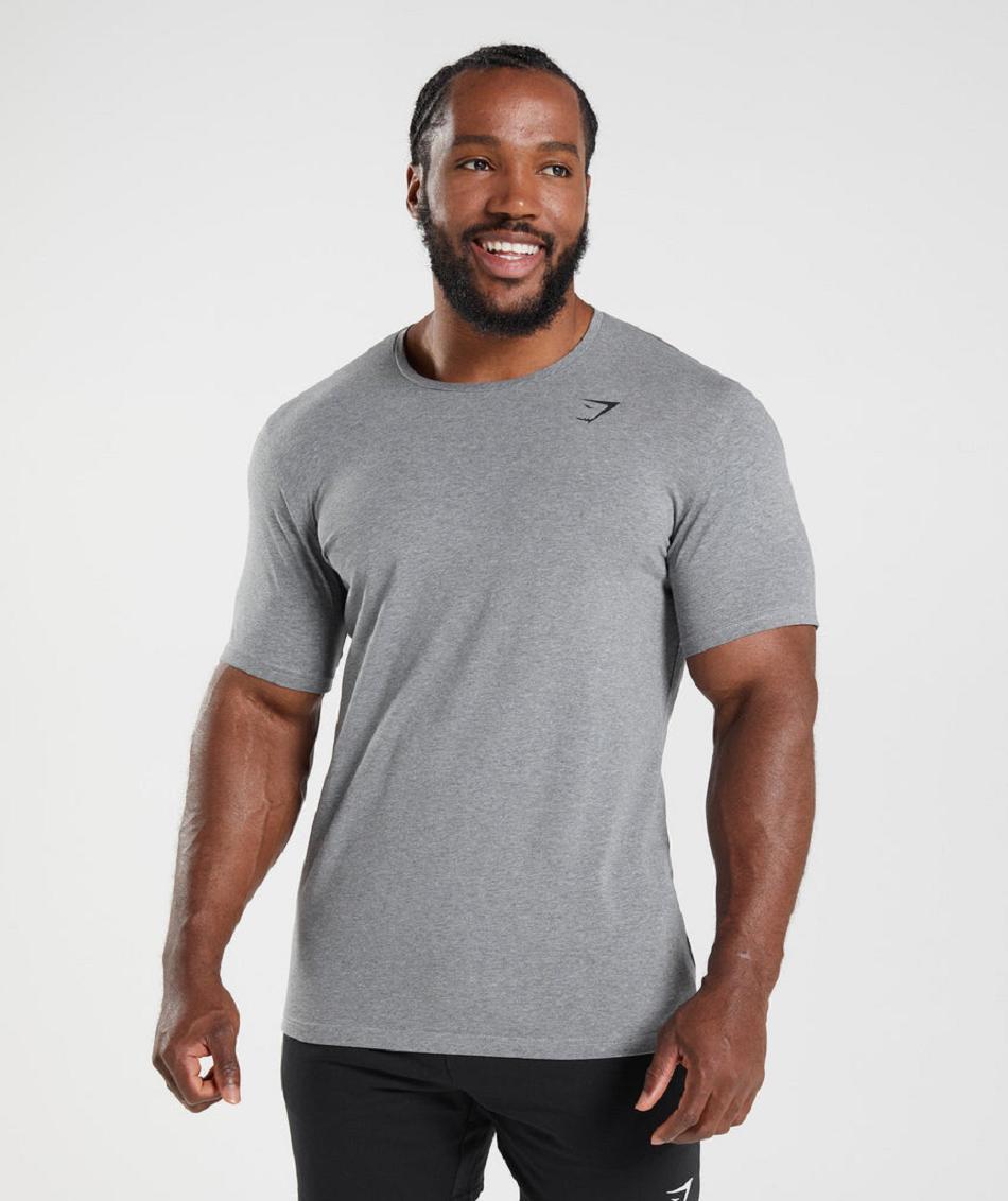 T Shirts Gymshark Essential Hombre Gris | CO 3314LIS